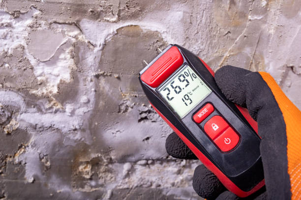 Best Bathroom Mold Remediation in Hurley, NM